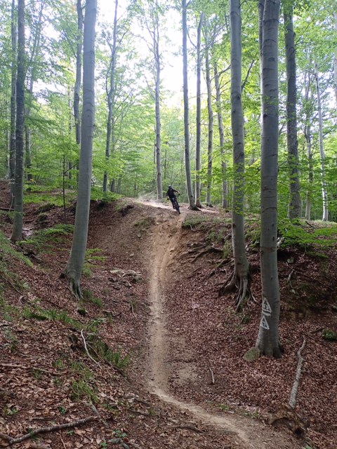 mountain bike excursions